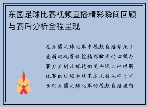 东园足球比赛视频直播精彩瞬间回顾与赛后分析全程呈现